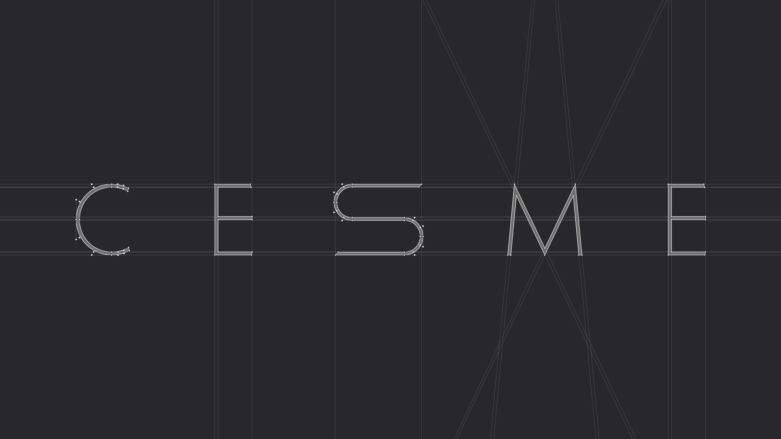CHESME Brand Identity Design, slide 4