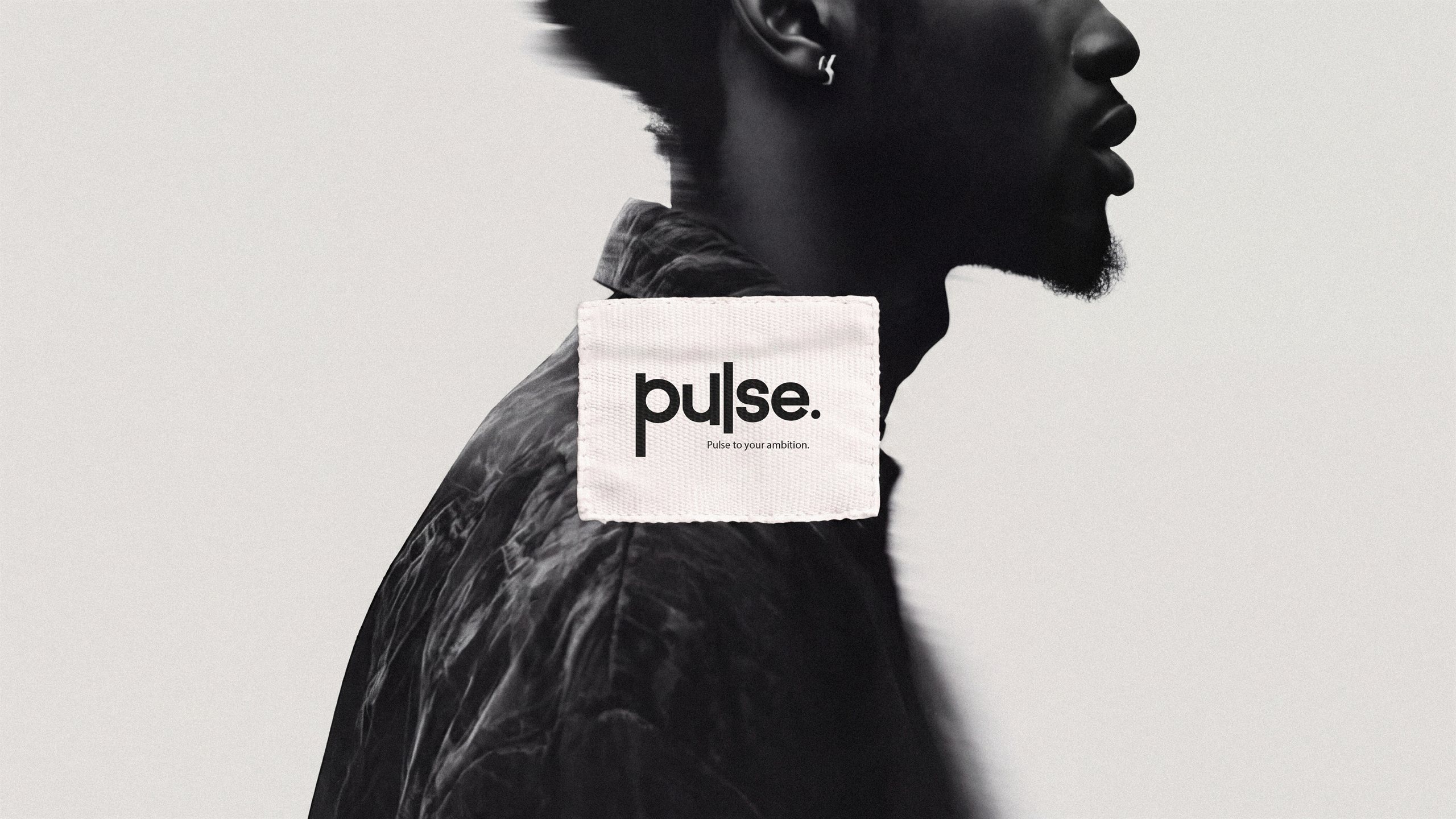 Pulse Brand Identity Design, slide 2