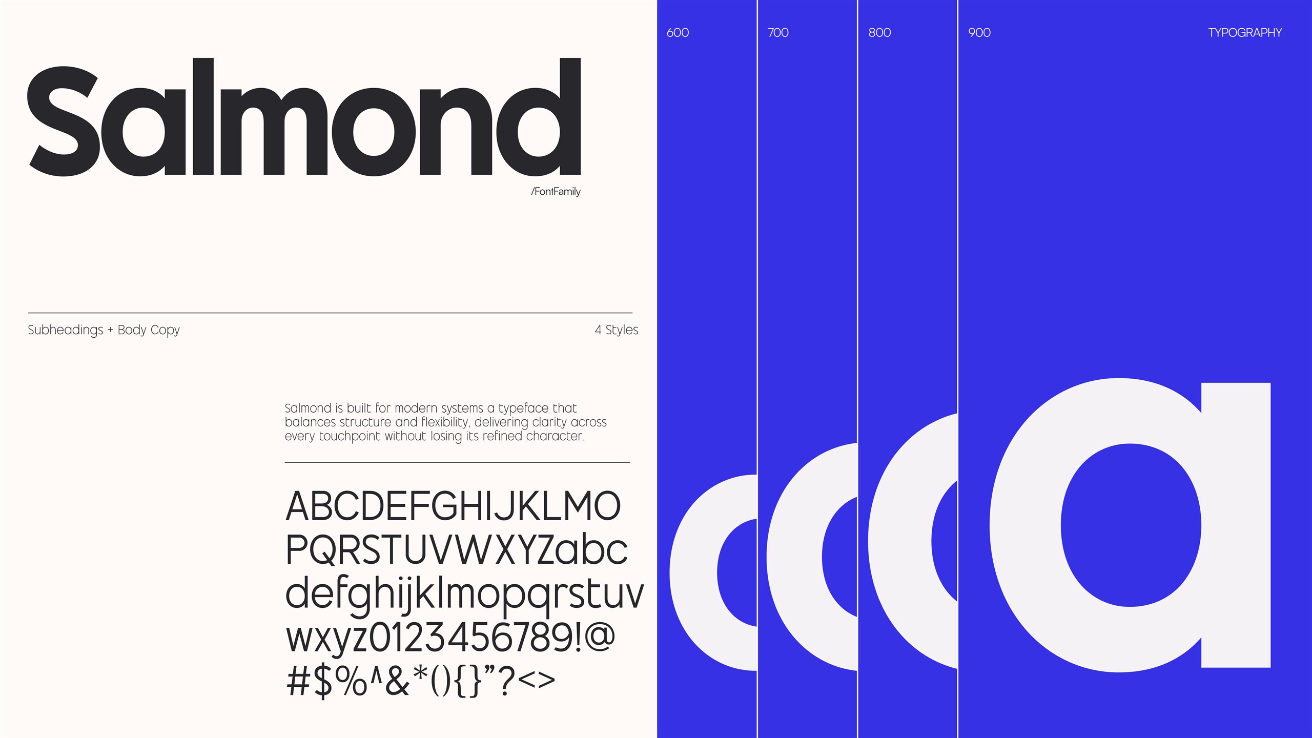 Securin Brand Identity Design, slide 8